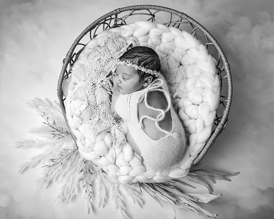 ZII_1480-Edit