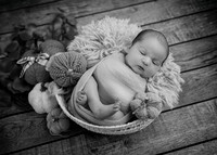_Z728511-Edit