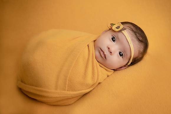 ZII_7560-Edit