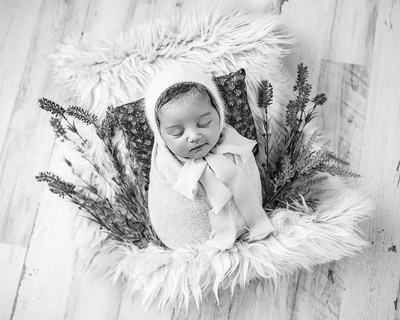 ZII_1407-Edit