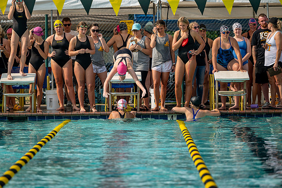 ZII_3350