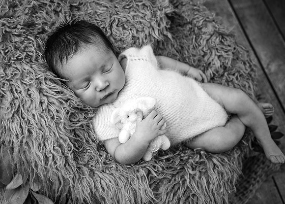 ZII_5964-Edit