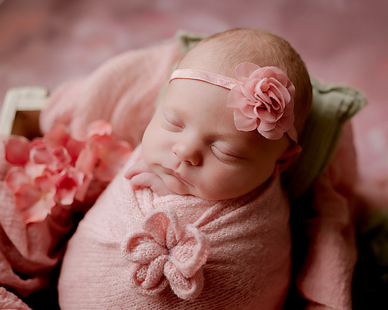 _Z623790-Edit