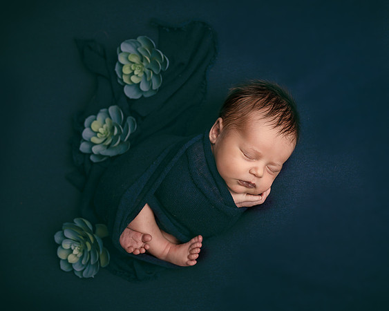 ZII_7081-Edit