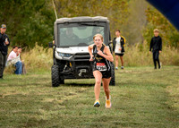 _Z617208