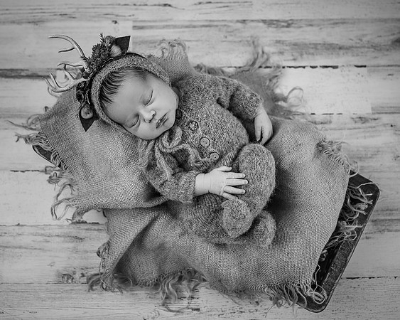 ZII_6908-Edit