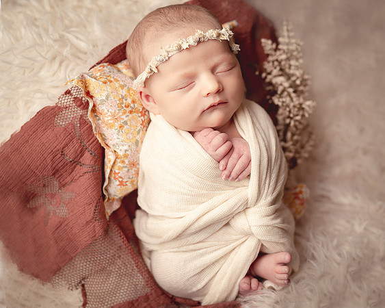 ZII_3542-Edit