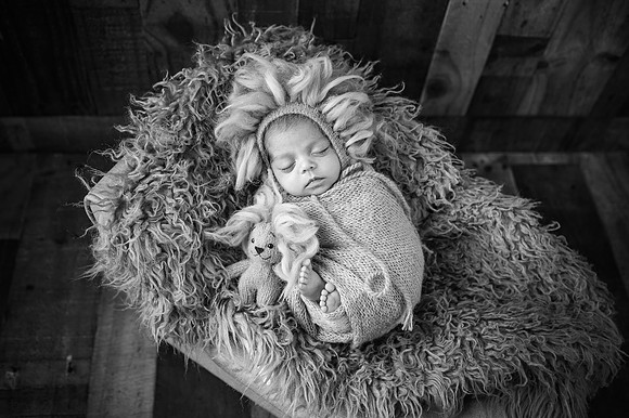 ZII_0530