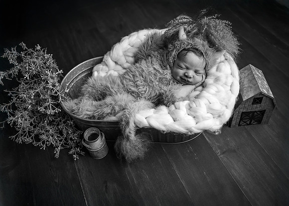 Z72_6229-Edit