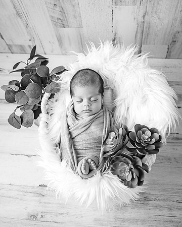 ZII_0433-Edit