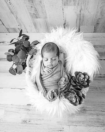 ZII_0440-Edit