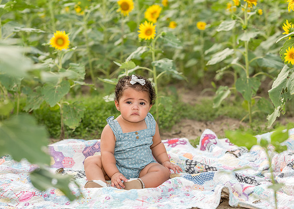 DSC_0038