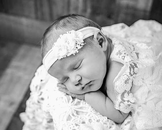 ZII_8079-Edit