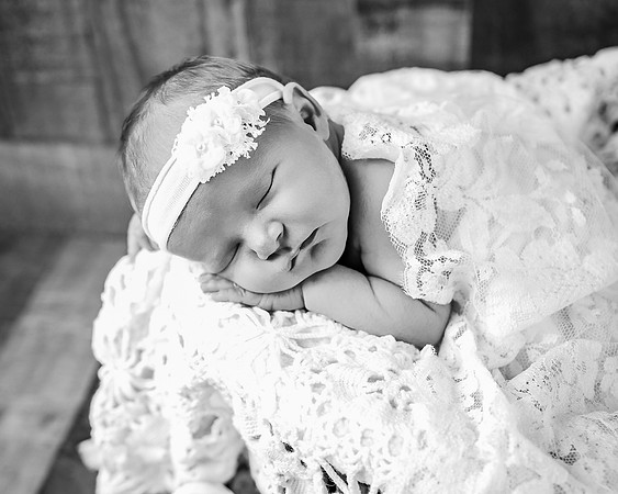 ZII_8071-Edit