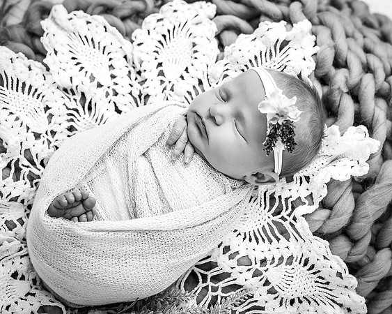 ZII_8176-Edit