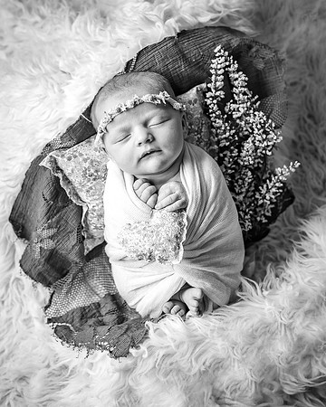 ZII_3533-Edit