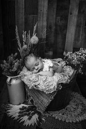 ZII_8307