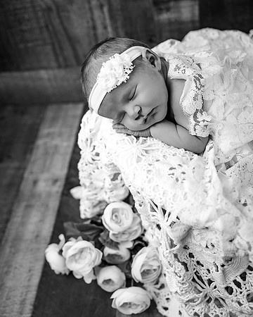 ZII_8076-Edit