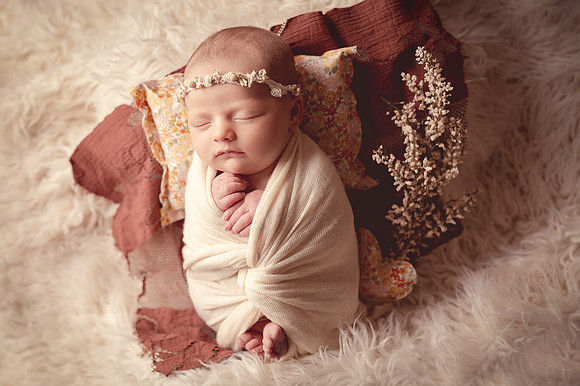 ZII_3544-Edit