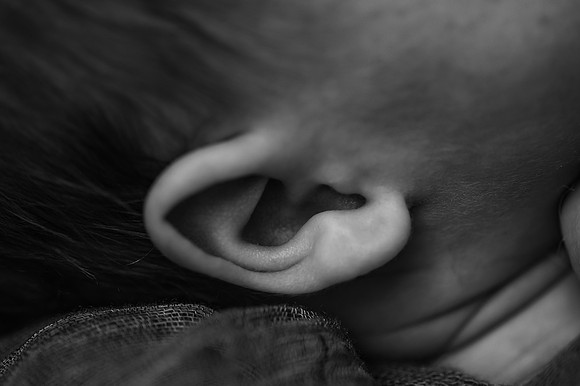 DSC_5002