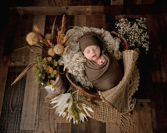 ZII_8290-Edit