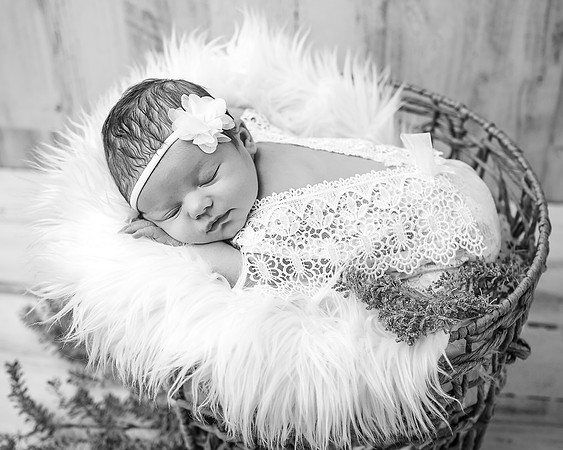 ZII_6398-Edit
