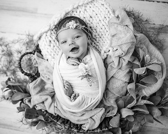 ZII_6433-Edit