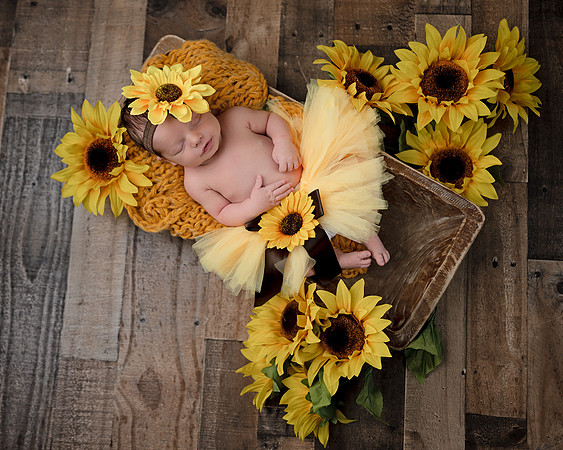 ZII_6490-Edit