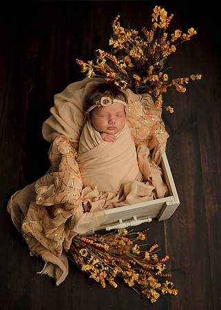 Z62_9660-Edit