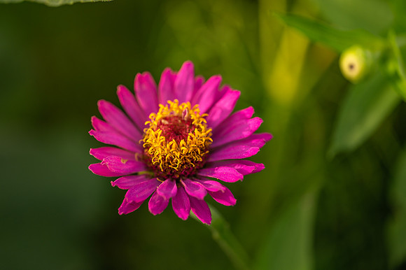 DSC_0771