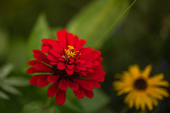 DSC_0808