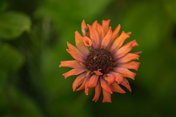 DSC_0828
