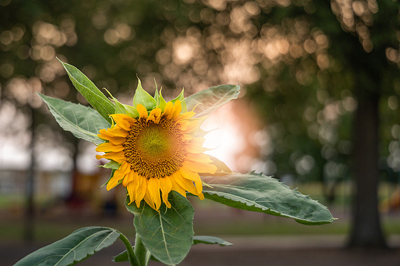 DSC_2042-Edit