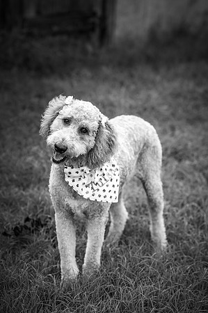 ZII_7766-Edit