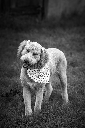 ZII_7767-Edit