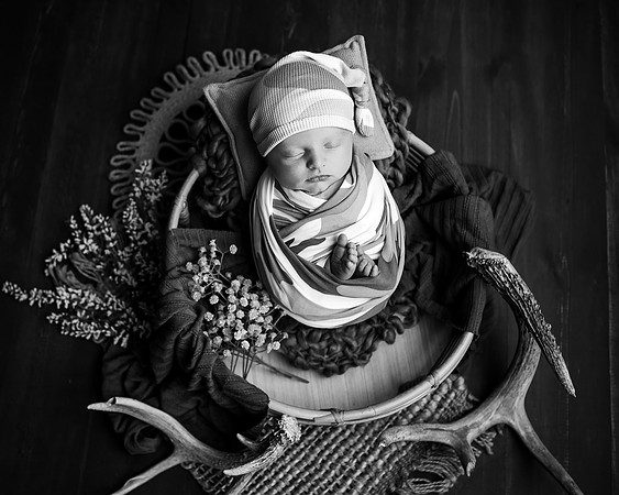 ZII_8291-Edit