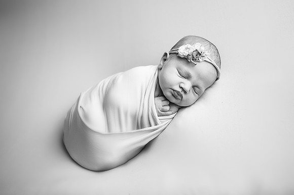 ZII_8895-Edit