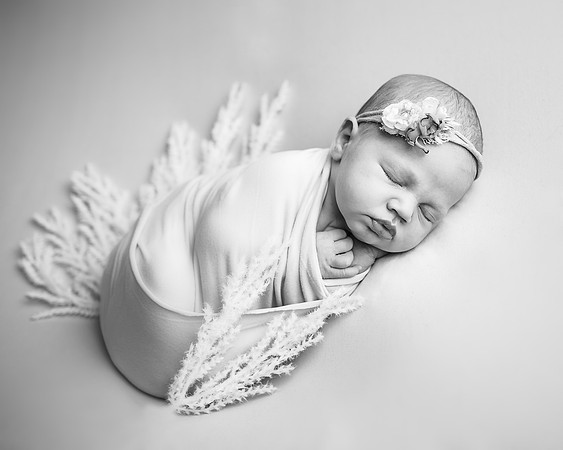 ZII_8909-Edit