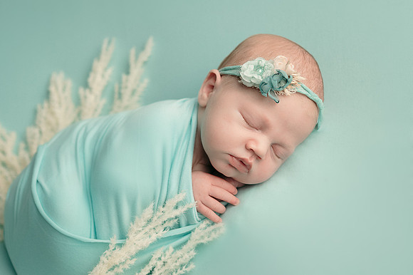 ZII_8911-Edit