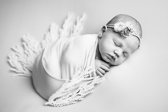 ZII_8916-Edit