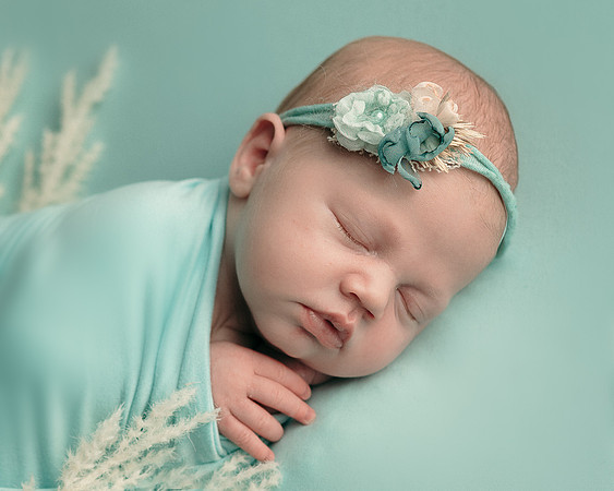 ZII_8919-Edit