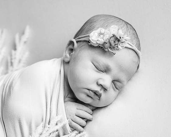 ZII_8920-Edit