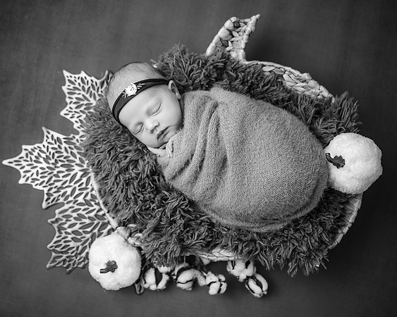 ZII_8961-Edit