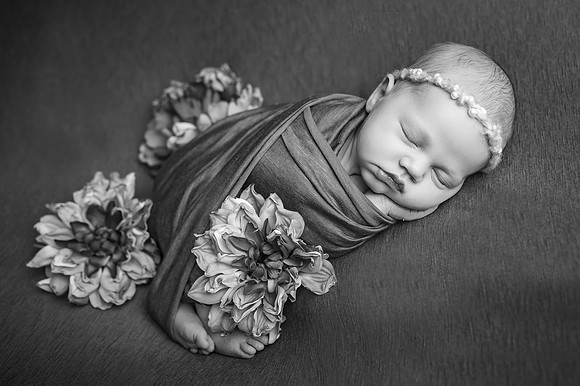 ZII_9013-Edit