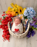 ZII_2906-Edit-Edit