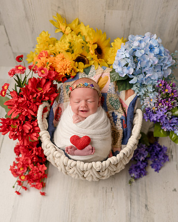 ZII_2906-Edit-Edit
