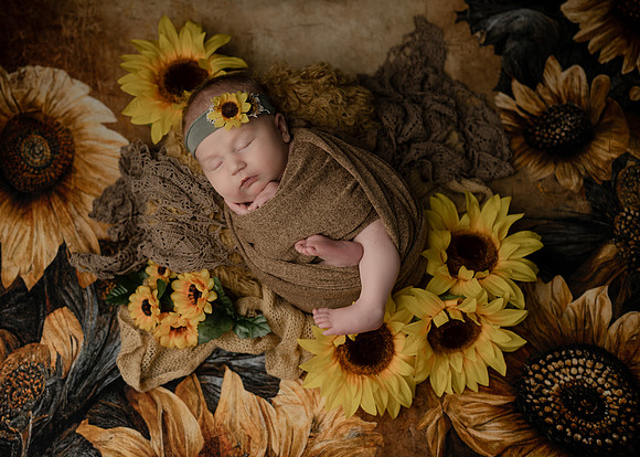 Z72_5293-Edit
