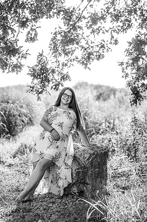 DSC_4202