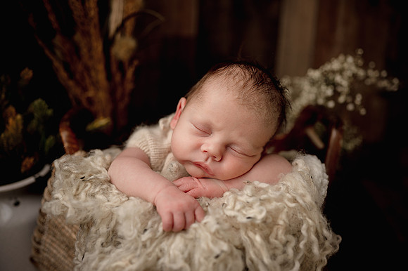ZII_8324-Edit