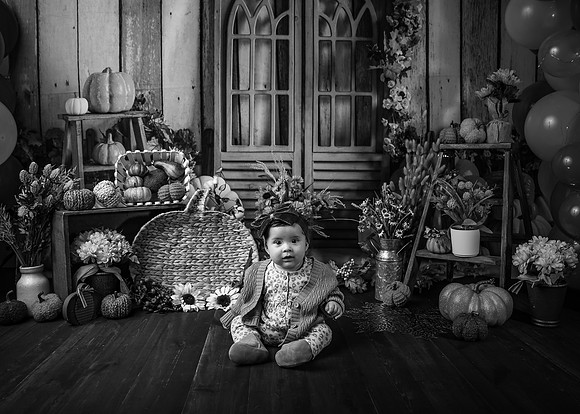 ZII_3625